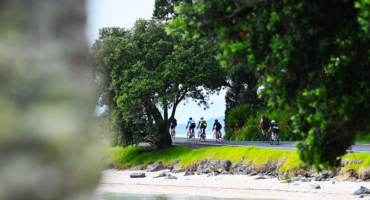 Cyclists riding beside the beach under trees at Maraetai.