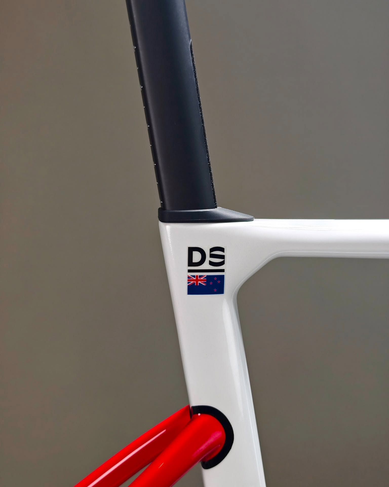 Darryl’s DS initials and New Zealand flag on the custom NICH frame