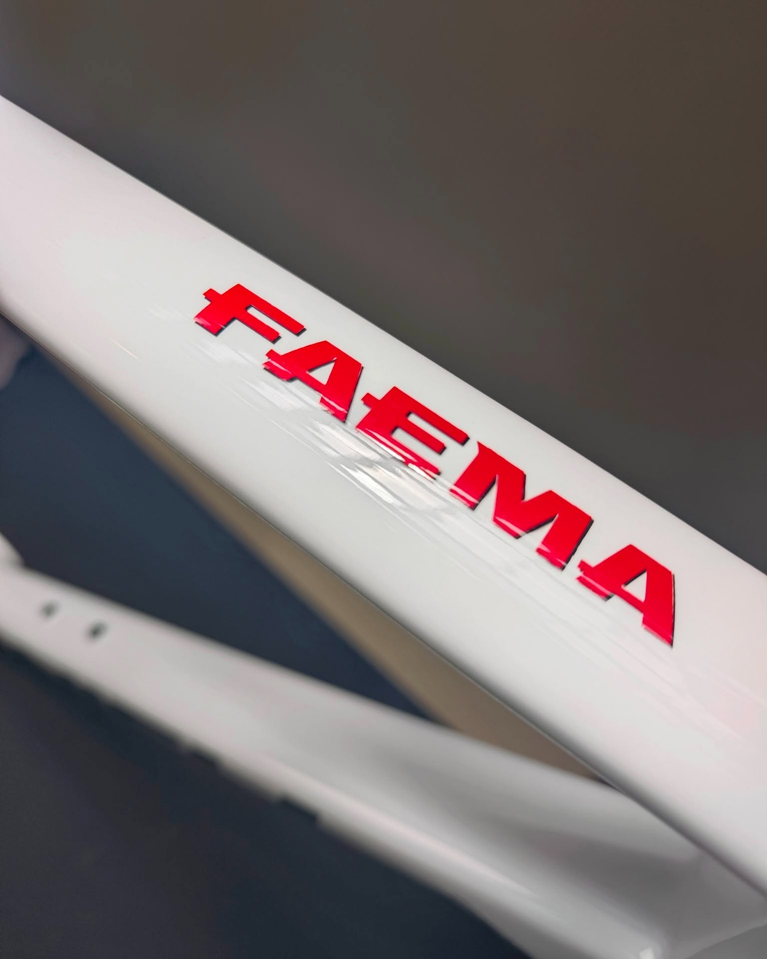 Red FAEMA lettering on Darryl’s white NICH frame